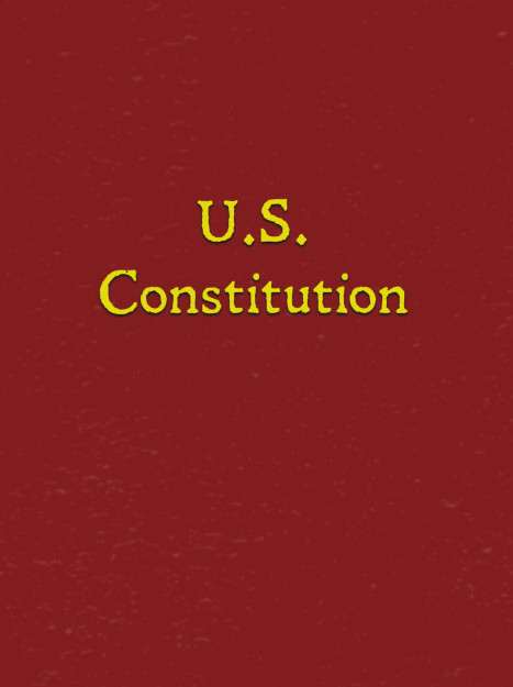 U.S. Constitution: Decoy Cover - Bitcoin Self Custody Wallet Access Log book cover