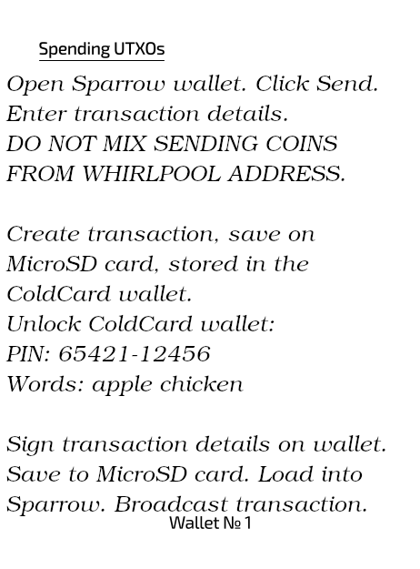 The interior of the Wallet Access Log listing the steps to spend unspent transaction outputs (UTXOs).